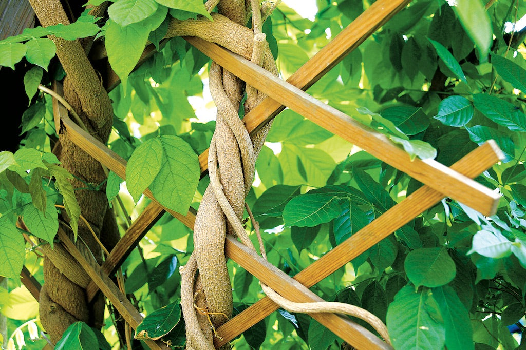 10 years of changing church culture